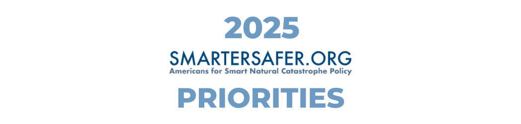 2025 SmarterSafer Coalition Priorities